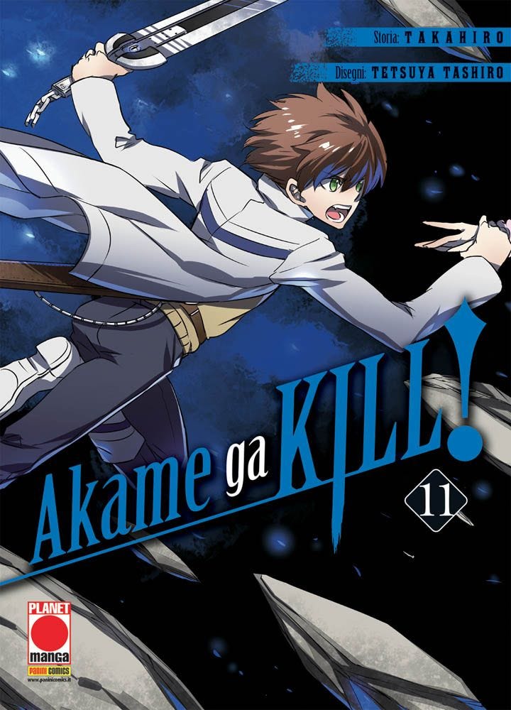 Akame ga kill! vol. 11