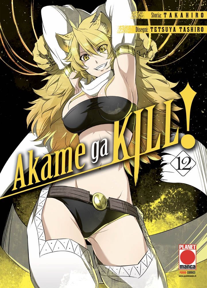 Akame ga kill! vol. 12